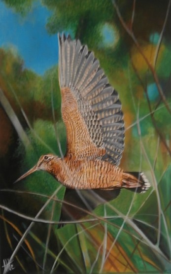 B&eacute;casse en vol - Acrylique sur toile 70 x 50