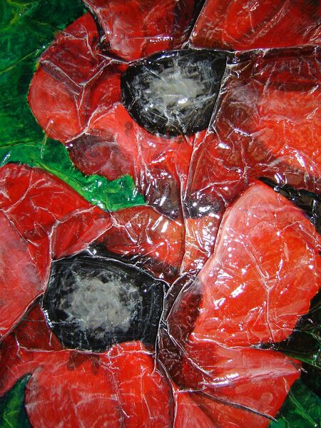 Coquelicots - 50x70