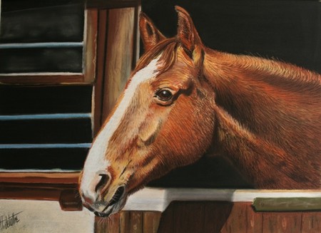 Le cheval au box - Pastel 50 x 70