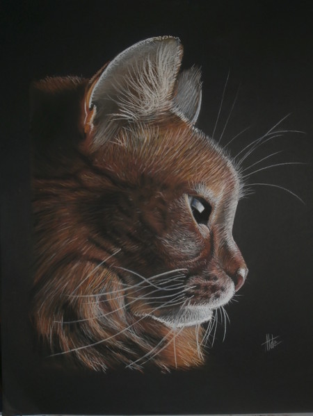 Le Somali - Pastel 50 x 70